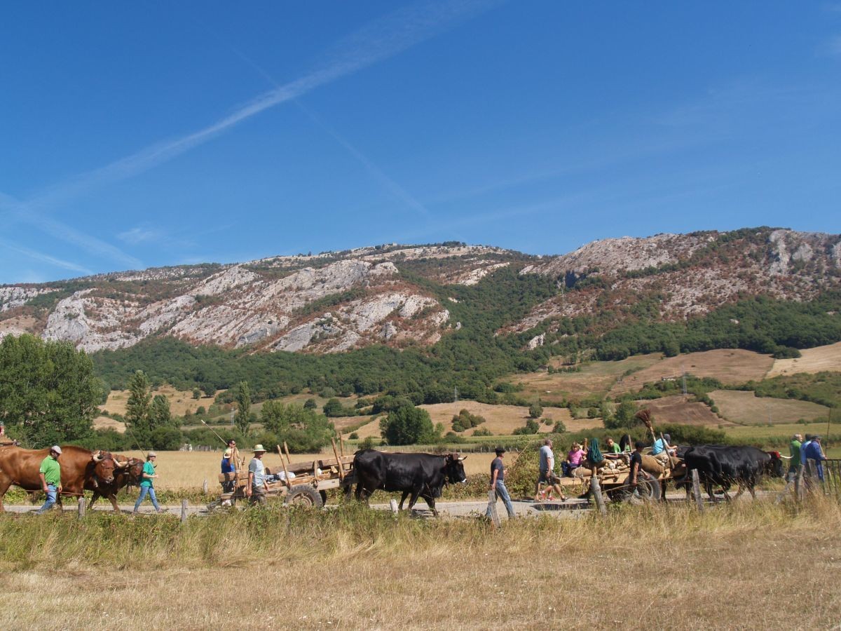 Santutegiko ate berria gurdian ekarriko dute