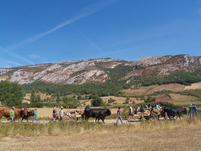 Santutegiko ate berria gurdian ekarriko dute