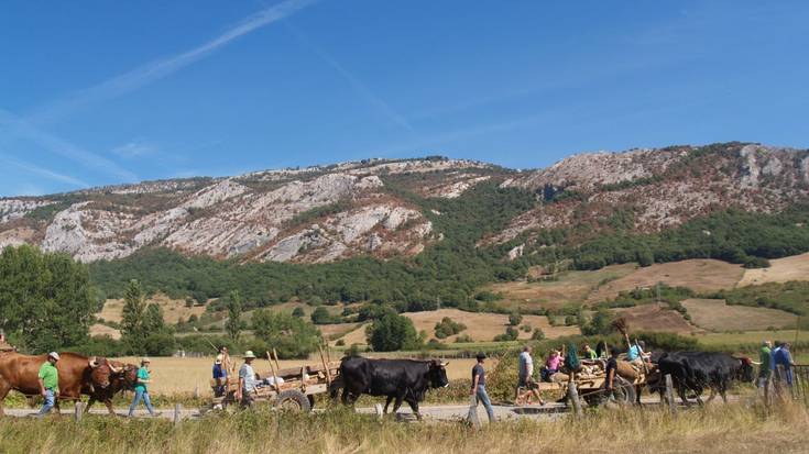 Santutegiko ate berria gurdian ekarriko dute
