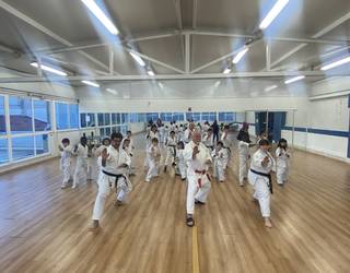Karate erakustaldia