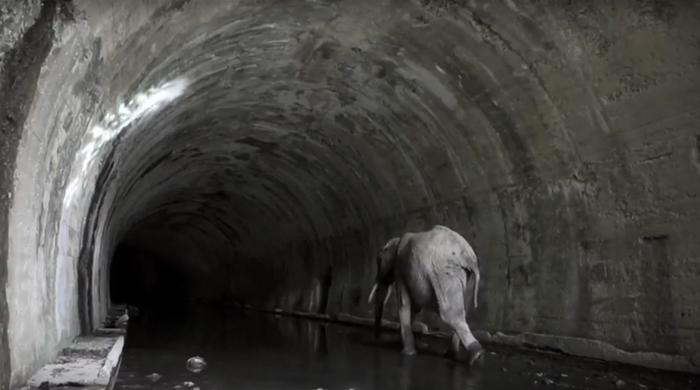 948 Merkatua artisten topagune