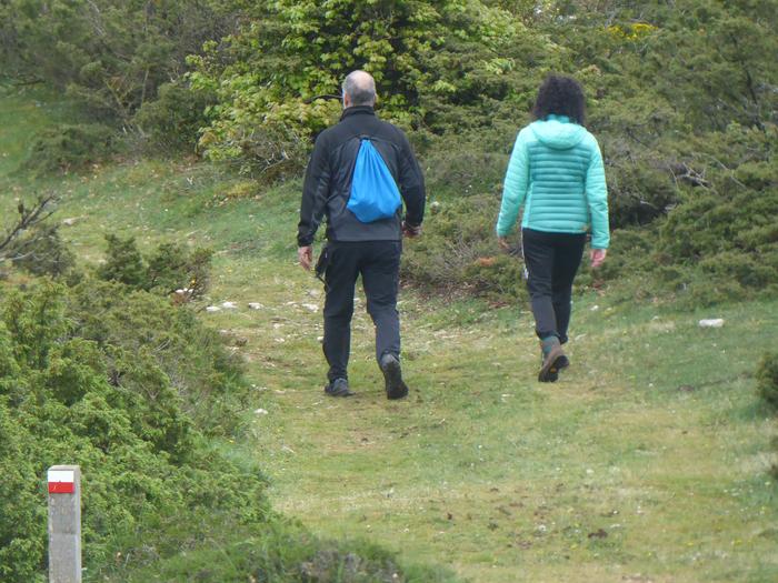 Cederna-Garalurrek ibilbideak digitalizatzeko lanak eman ditu