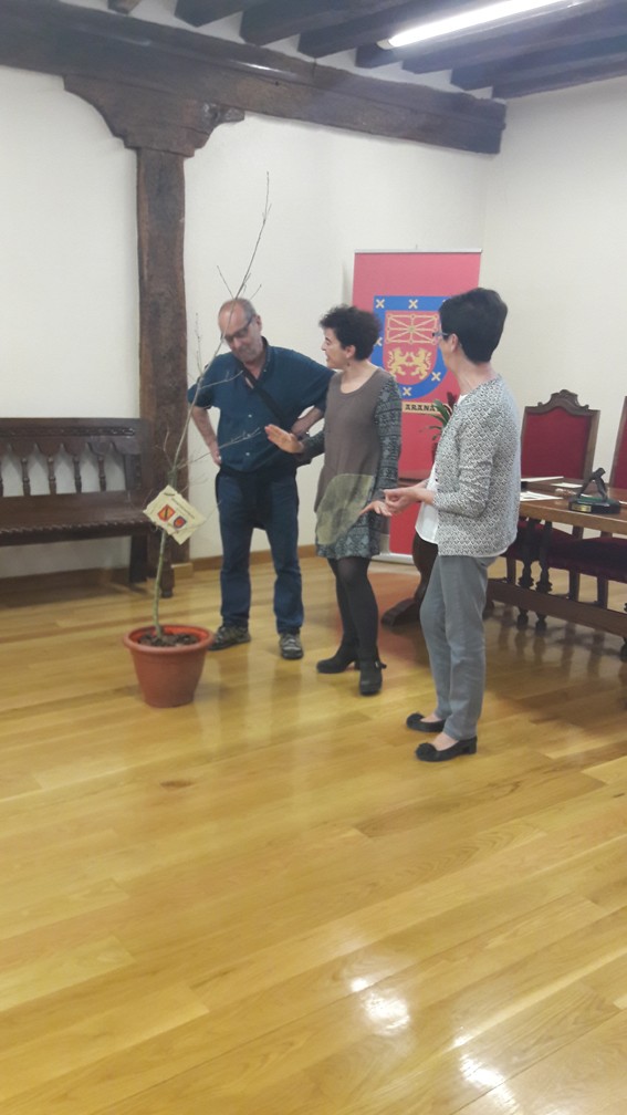 Elkarlanean aritutako bategatik dolua