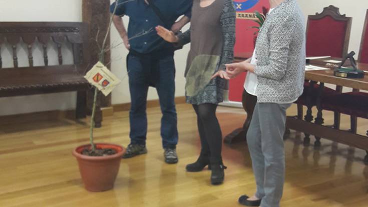 Elkarlanean aritutako bategatik dolua