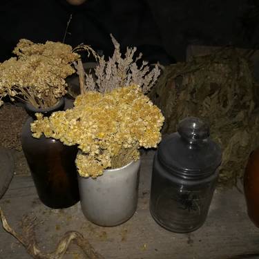Sendabelarrak Unanun