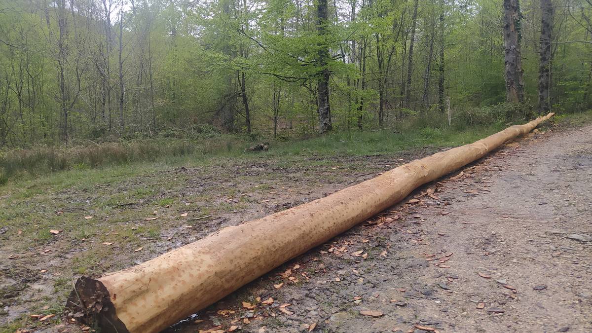 Iturmendiarrak maiatzaren lehena prestatzen hasiak dira