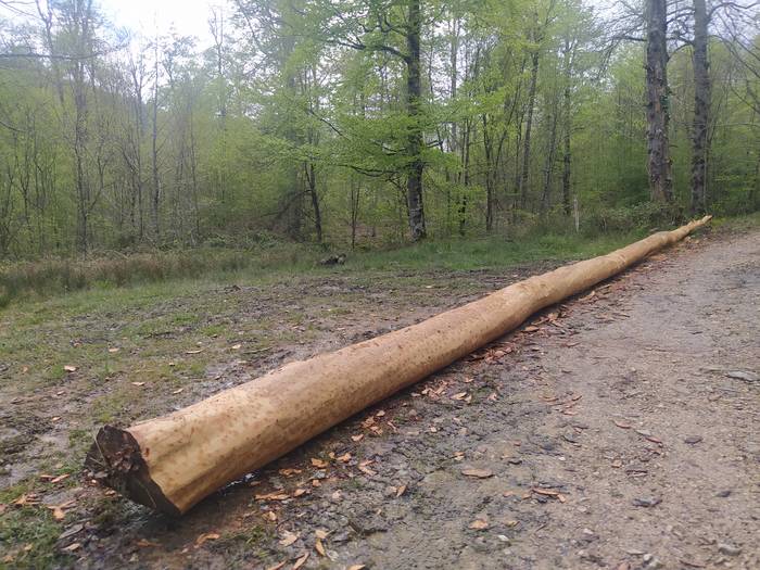 Iturmendiarrak maiatzaren lehena prestatzen hasiak dira