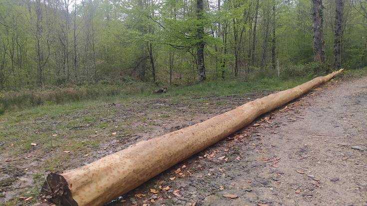 Iturmendiarrak maiatzaren lehena prestatzen hasiak dira