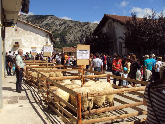 Artzain Eguna, huts egin gabe