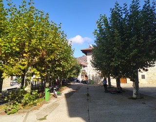 Arruazun estalpea gertuago