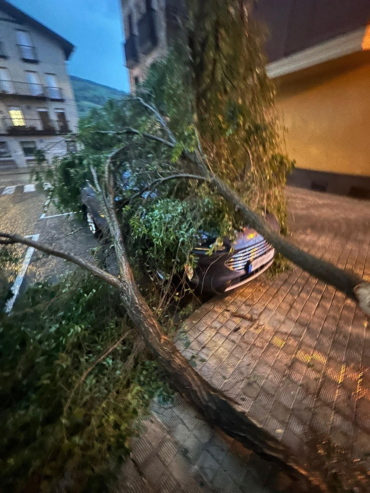 Ekaitzaren arrastoak