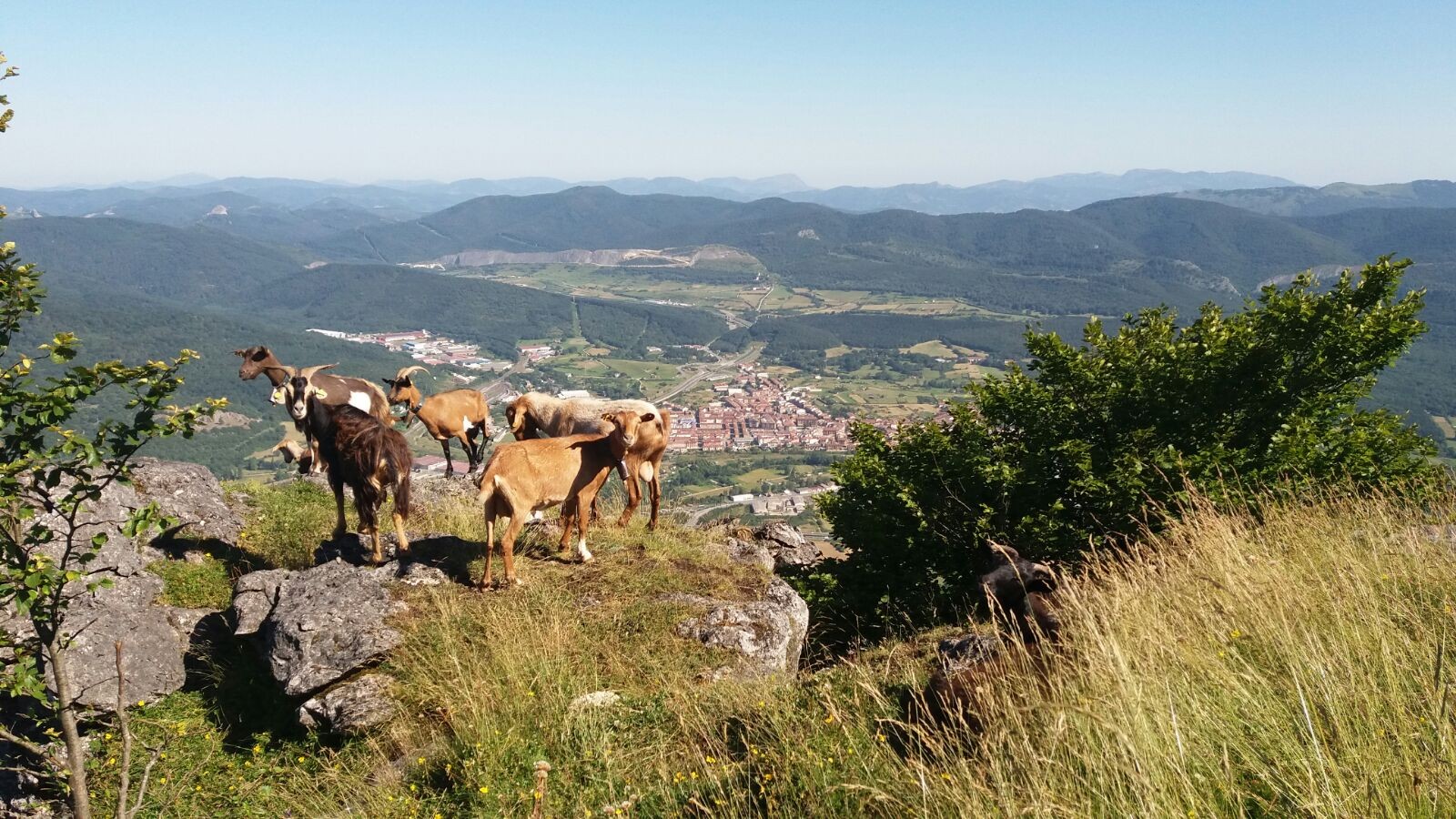 Ibarreako saneamendu lanei bultzada
