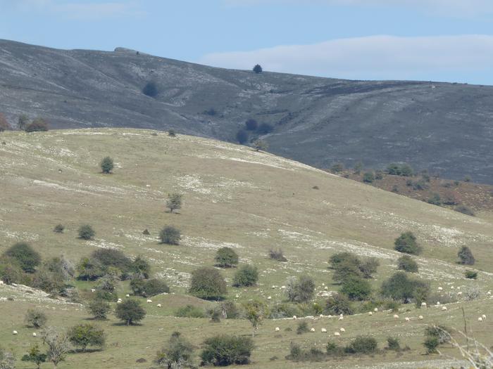 Natur parkea azienda hartzen hasi da