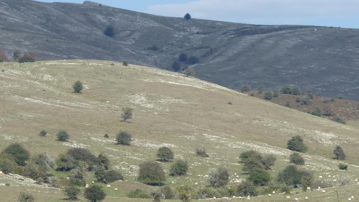 Natur parkea azienda hartzen hasi da