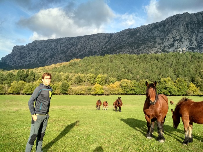 “Burokrazia asko dago eta animaliek paper asko izan behar dituzte”