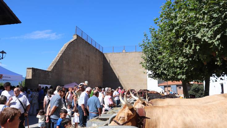 Azienda, eta gehiago