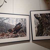 Manuel Delgadoren argazki erakusketa