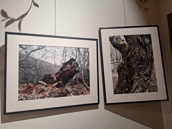 Manuel Delgadoren argazki erakusketa