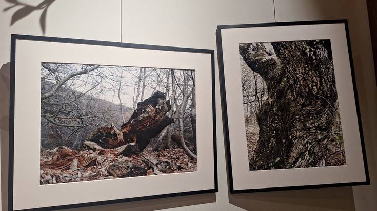 Manuel Delgadoren argazki erakusketa