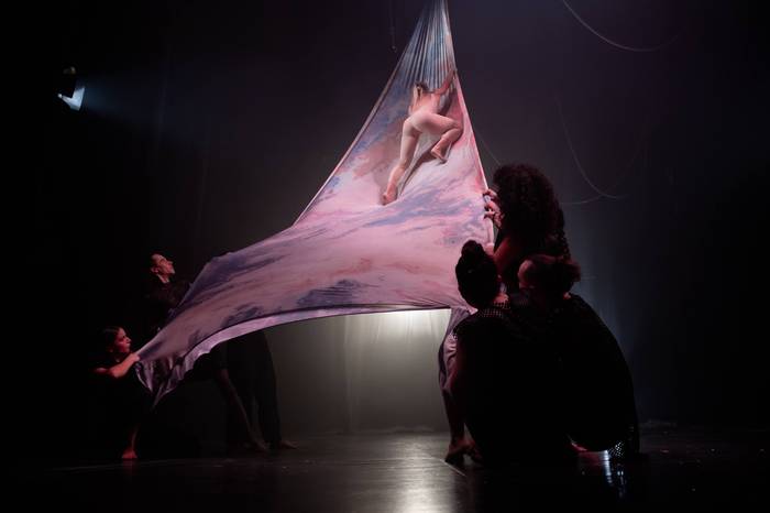 Zirku ikuskizuna, Altsasun