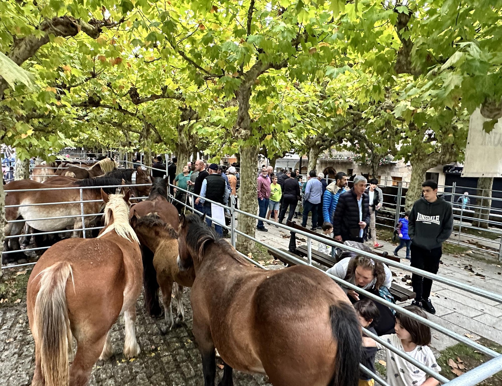 Feriak direla eta, egitarau betea Etxarri Aranatzen
