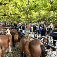 Feriak direla eta, egitarau betea Etxarri Aranatzen