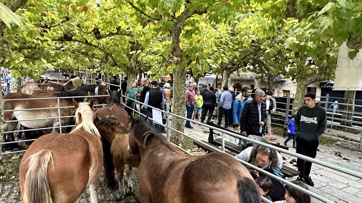 Feriak direla eta, egitarau betea Etxarri Aranatzen