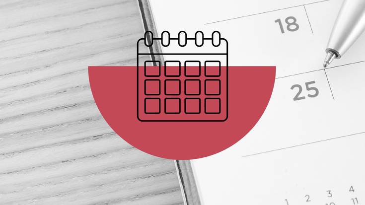 Bateti bestia 2019-01-25