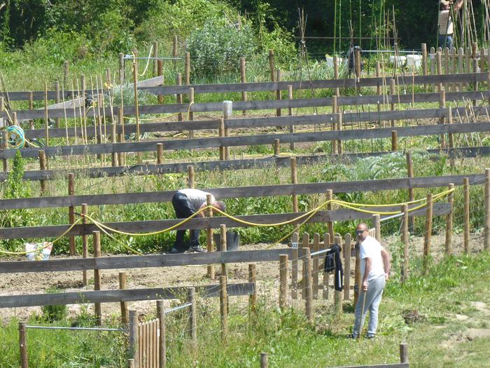 Hutsik dauden herri baratzak eskuratzeko aukera eman du udalak