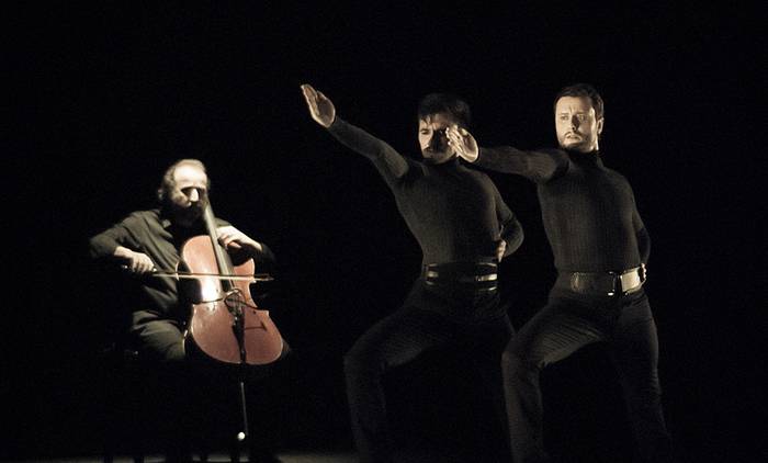Flamenco berritua 
