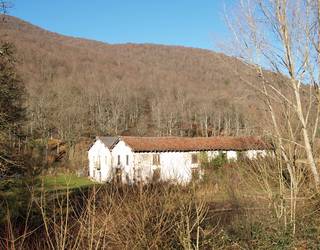 Udalak baso aprobetxamendu saldu du