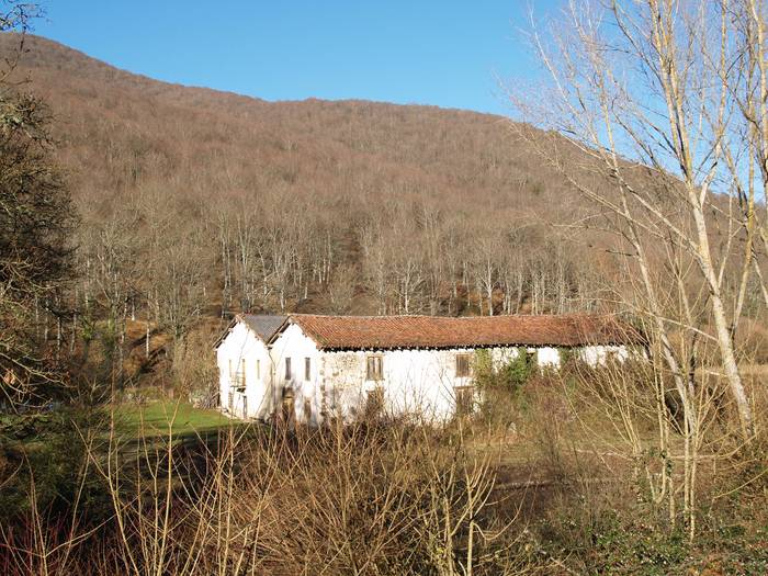 Baso aprobetxamendua salgai Etxarri Aranatzen