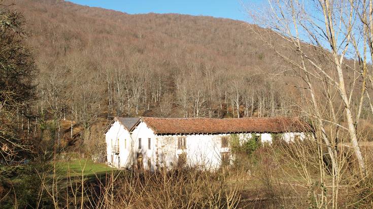 Baso aprobetxamendua salgai Etxarri Aranatzen