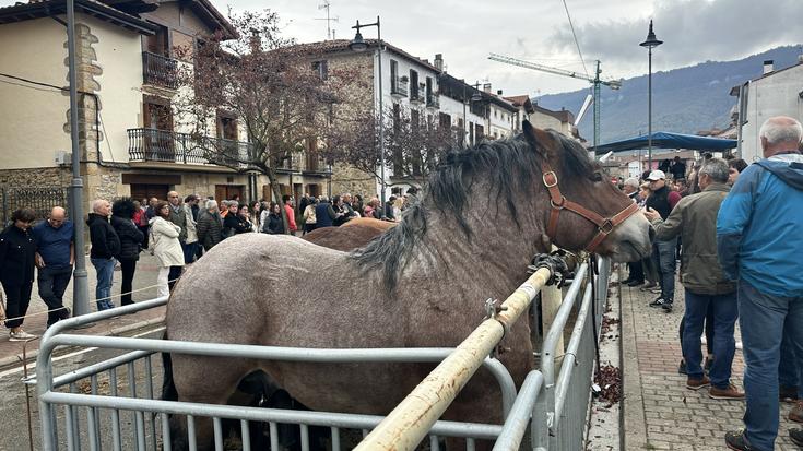 Ferietakoa, asteburu animatua
