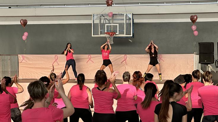 Sarayren aldeko mugimendu arrosa