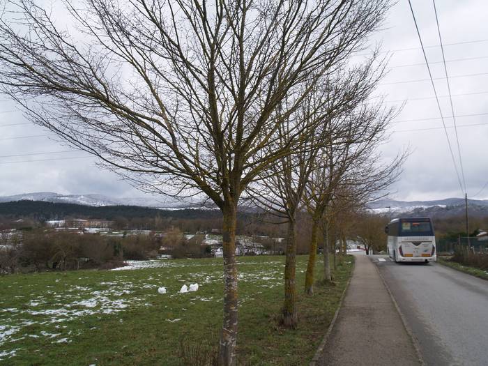Bidegorria egiteko lur desjabetzak eginen ditu udalak