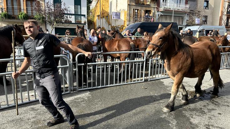 Feriak, eguraldia lagun