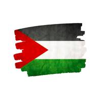Altsasu-Palestina elkartasuna elkarretaratzea