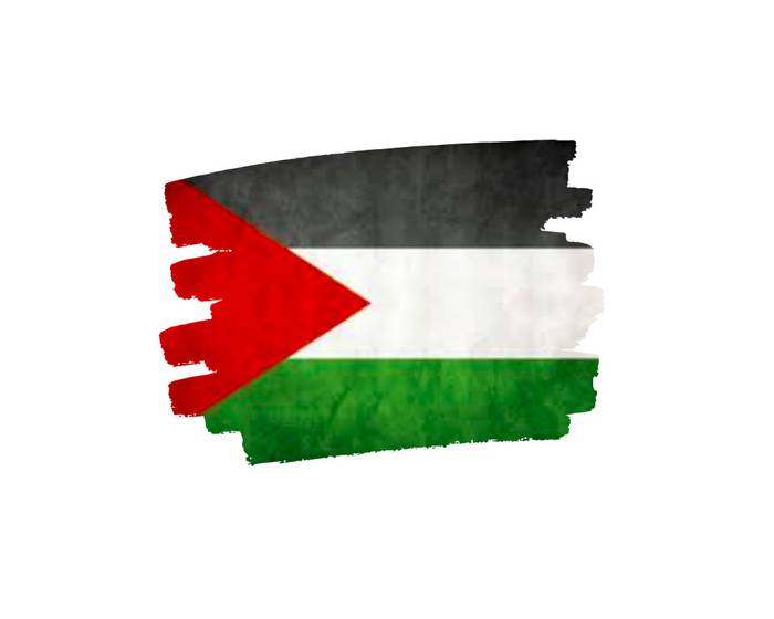 Altsasu-Palestina elkartasuna elkarretaratzea