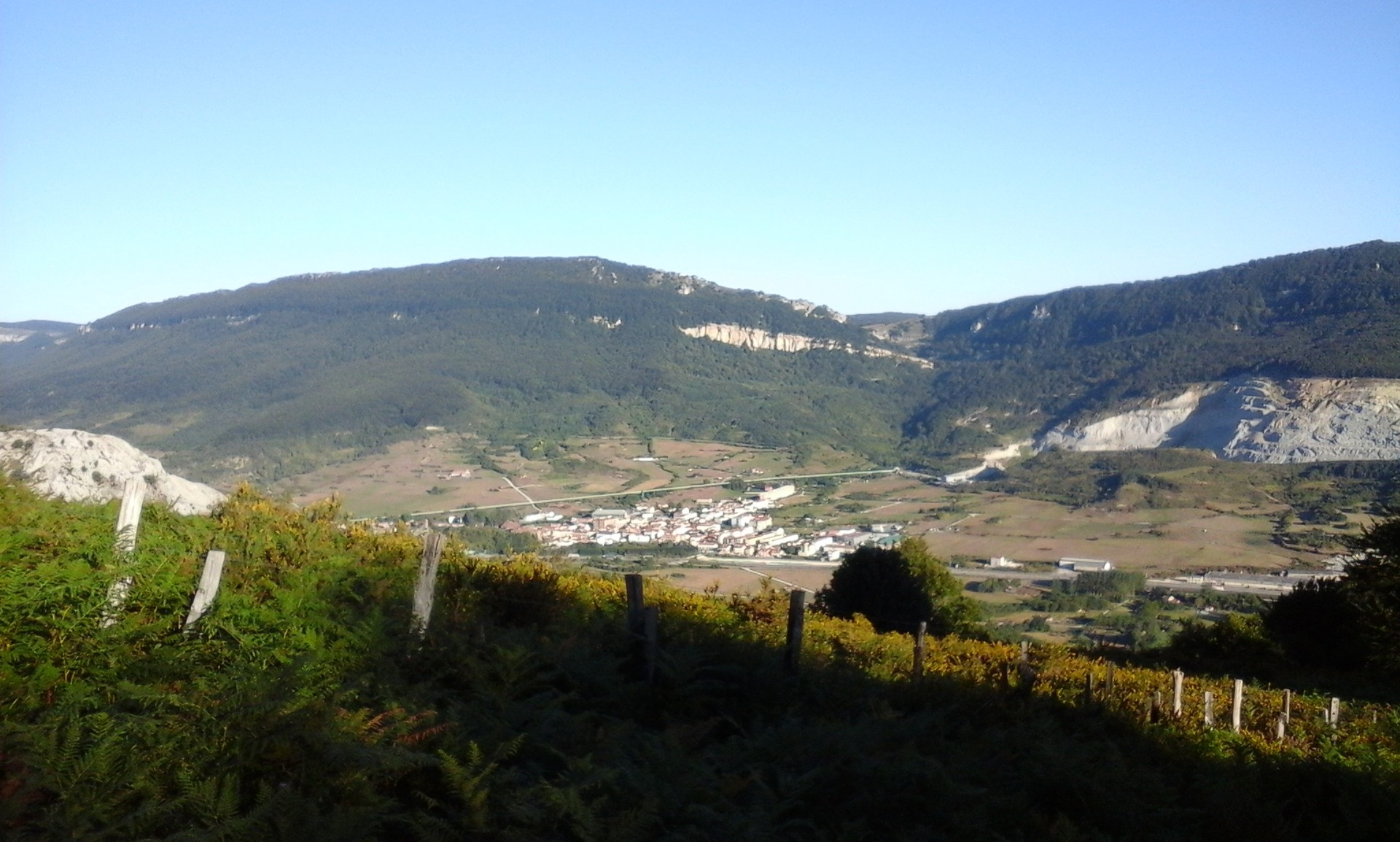 Herri-basoan azienda sartzeko prozedura zehaztuta