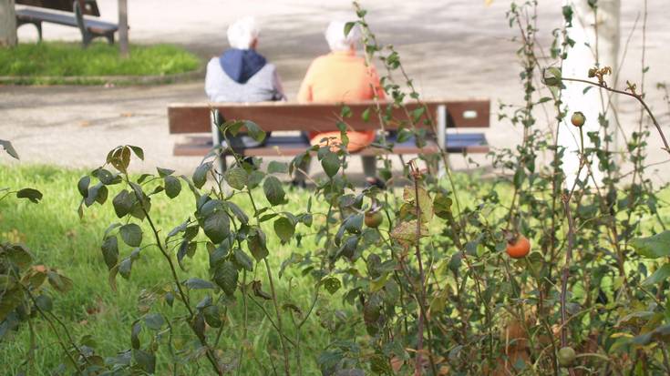 Teknoadinekok prestakuntza saioak antolatu ditu