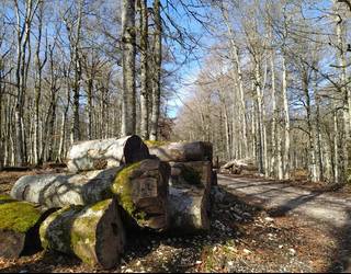 Aralarko Elkartearen egun loteak eska daitezke