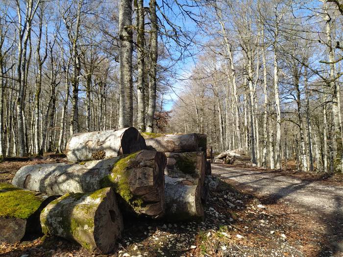 Aralarko Elkartearen egun loteak eska daitezke