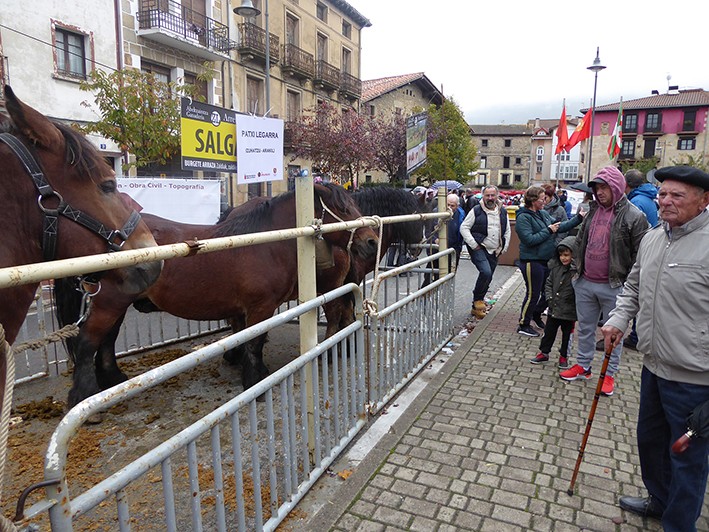 Ferietako zaldi lehiaketan parte hartzeko izen ematea zabalik