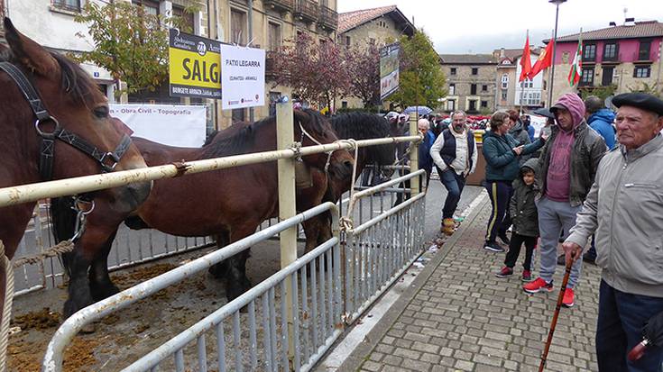 Ferietako zaldi lehiaketan parte hartzeko izen ematea zabalik