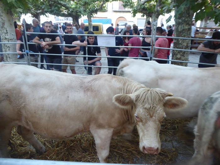 Feria garaia Etxarri Aranatzen