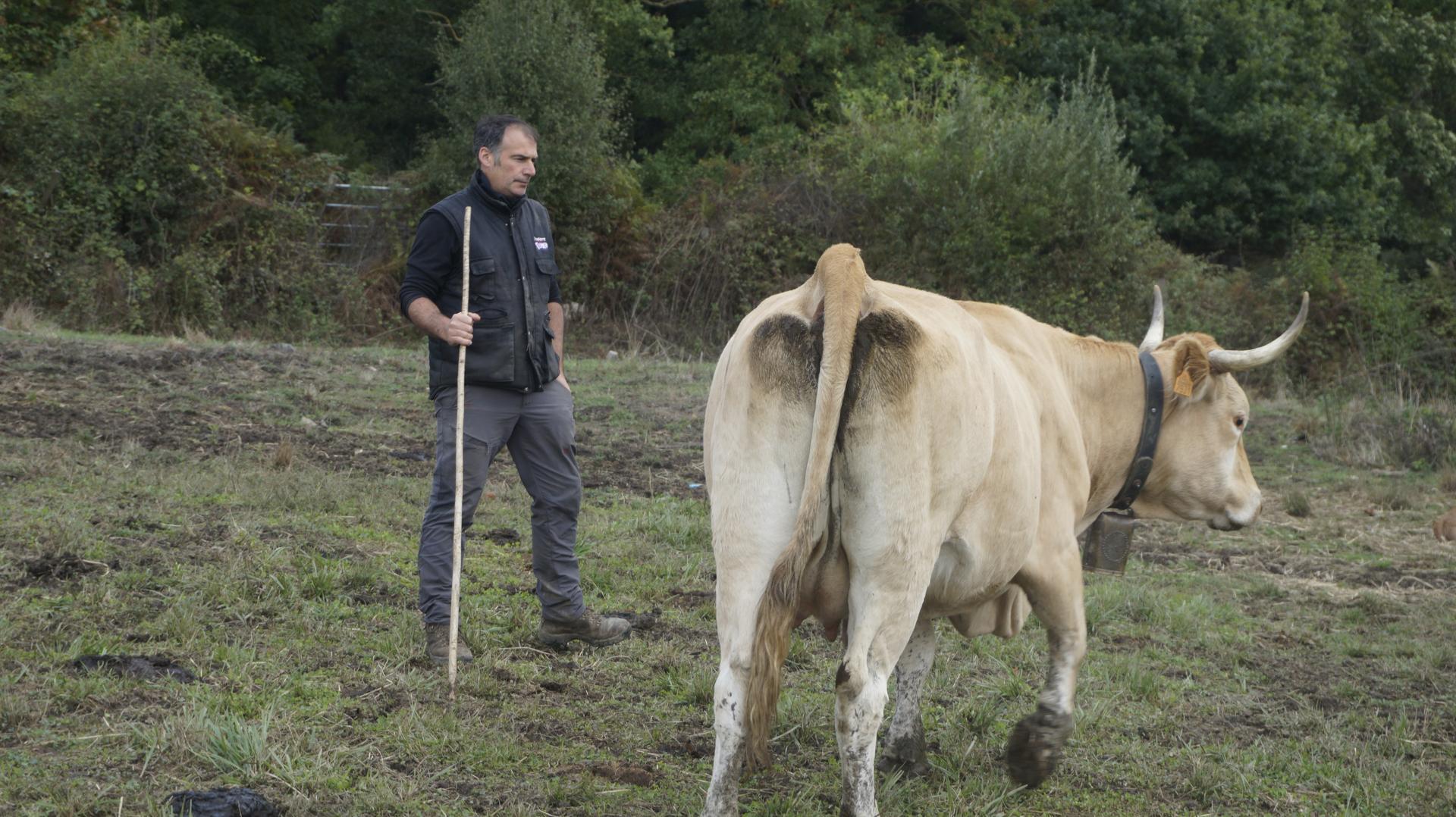 Feriak egitea bezain garrantzitsua da abeltzainen lana ezagutzea
