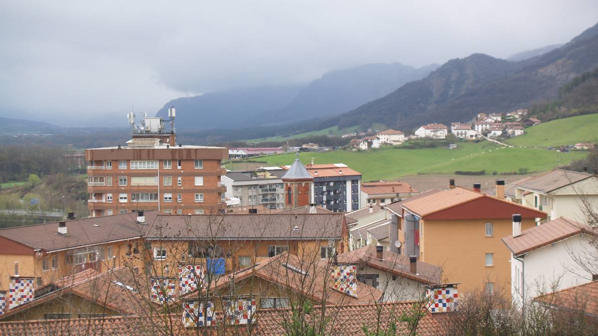 Fazeriako baso aprobetxamendua salgai.