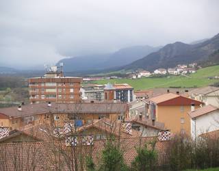 Fazeriako baso aprobetxamendua salgai.