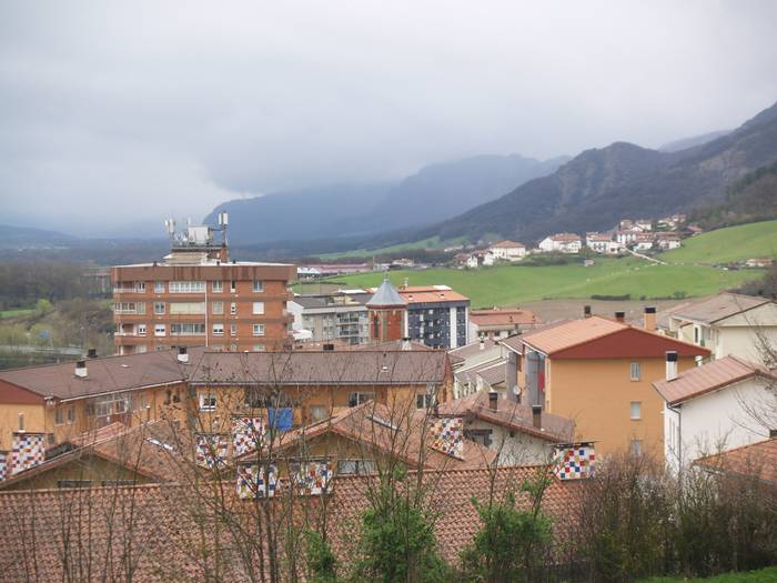 Fazeriako baso aprobetxamendua salgai.